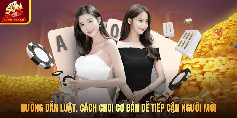 Hướng dẫn luật, cách chơi cơ bản dễ tiếp cận người mới